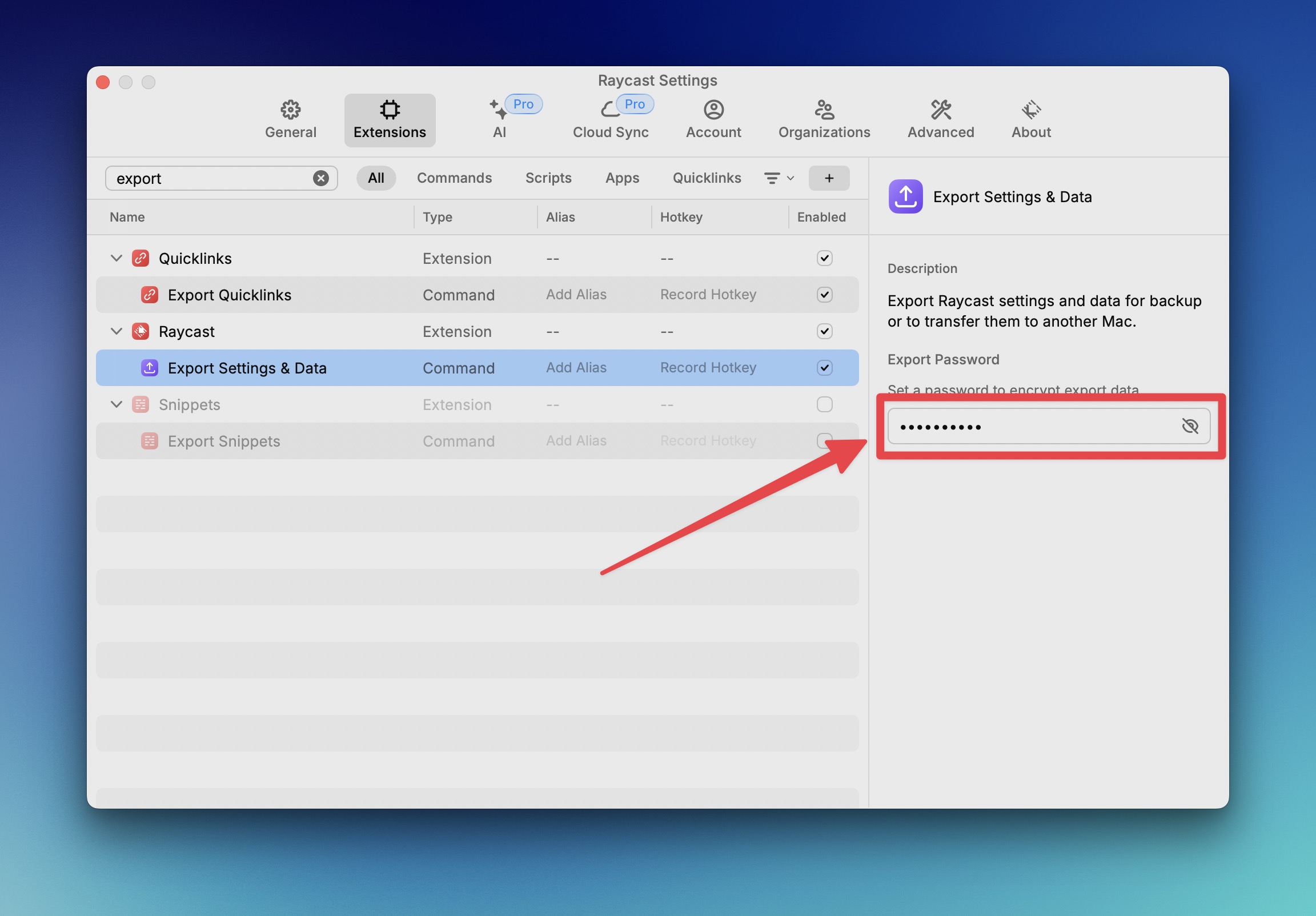 Raycast Export Settings and Data command with its export-password field highlighted
